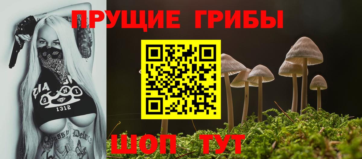 Галлюциногенные грибы прущие грибы Кохма